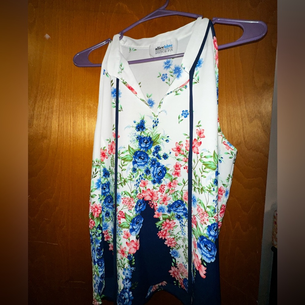 Alice blue light weight sleeveless blouse